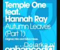 Temple_One_feat__Hannah_Ray_Autumn_Leaves