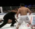 Niesamowity_nokaut_w_MMA