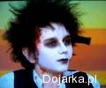 Ci__ta_riposta_w_Rozmowach_w_toku
