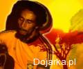 Fasolki_Smutne_Reggae