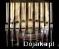 Koko Euro spoko - wersja kościelna