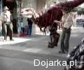 Dinozaur na ulicy