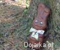 Zmasakrowany_zaj__c_wielkanocny