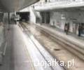 Samoch_ld_w_metrze