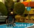 Parking_dla_niepe__nosprawnych