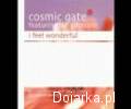 Cosmic_Gate_Ft__Jan_Johnston_I_Feel_Wonderful