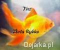 __ona_Z__ota_rybka