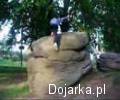 Makowiec_sampler_2007