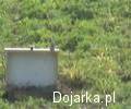 Snajperski_strza__