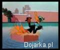 Daffy_i_Porky_Z__ote_Jaja