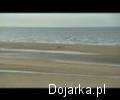 Jak zrobić film o lądowaniu aliantów w Normandii?