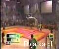 Slamball