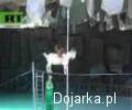 Kozio___spaceruj__cy_po_linie_
