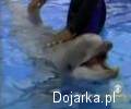 Niewidomy_ch__opak_pokona_ci___w_Playstation