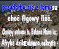 Zbigniew_Wodecki_Cha__upy_welcome_to