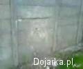 Chuliga__stwo_nie_pop__aca