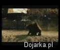 Cyril_Raffaelli_kaskader