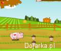 Pig_Race_Bieg___wini
