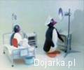Przer_lbka_Pingu_Wizyta_w_szpitalu