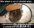 Nie_wiem_o_co_chodzi
