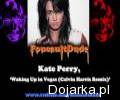 Kate_Perry_Waking_Up_in_Vegas__Calvin_Harris_Rem