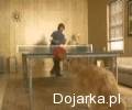 Niesamowity_przeciwnik_w_pingponga