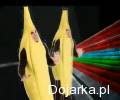 Ekstremalna_piosenka_bananowa