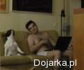 Jaki_pan_taki_wyluzowany_pies